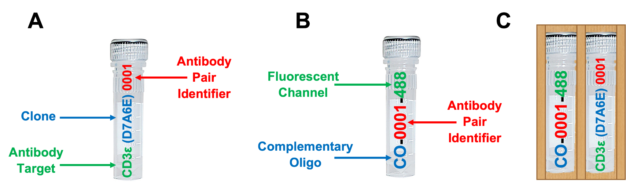 SignalStar Oligo Antibodies